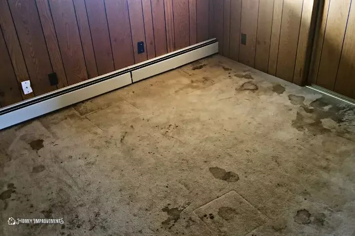 Soiled or Stained Carpet