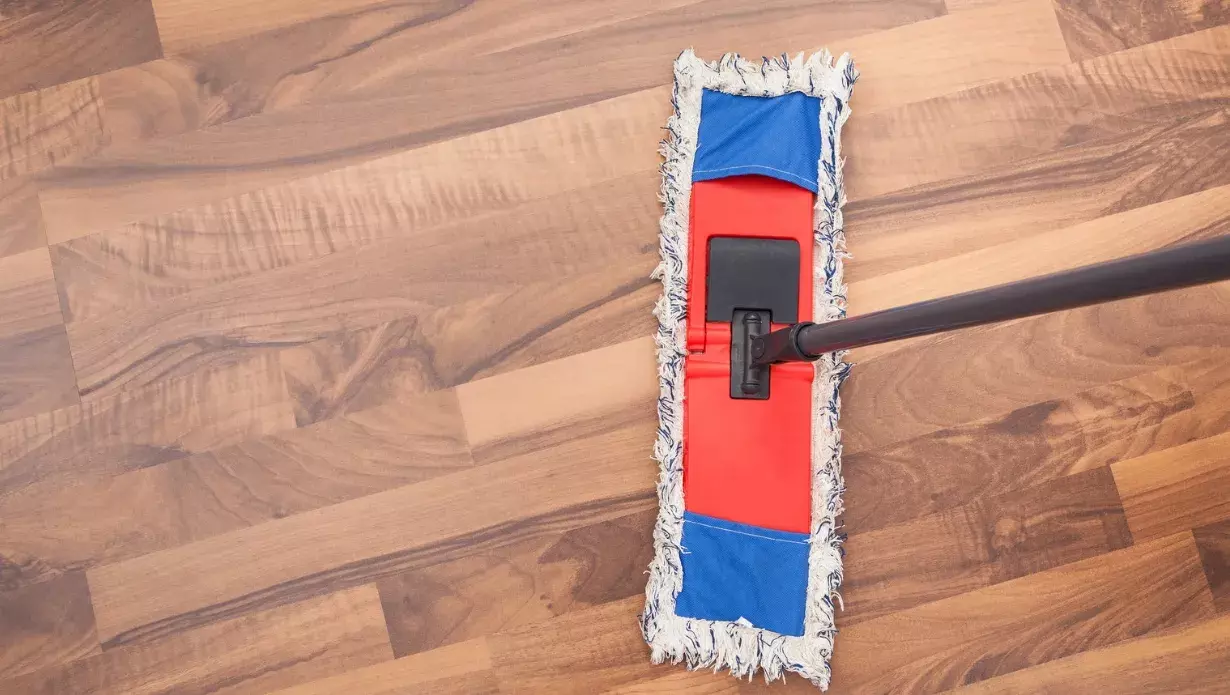 Best mop for hardwood floors