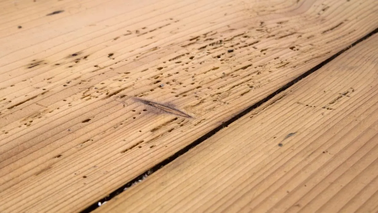 how to fix water damaged swollen wood floor