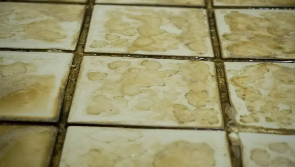 clean hard water stains on tiles