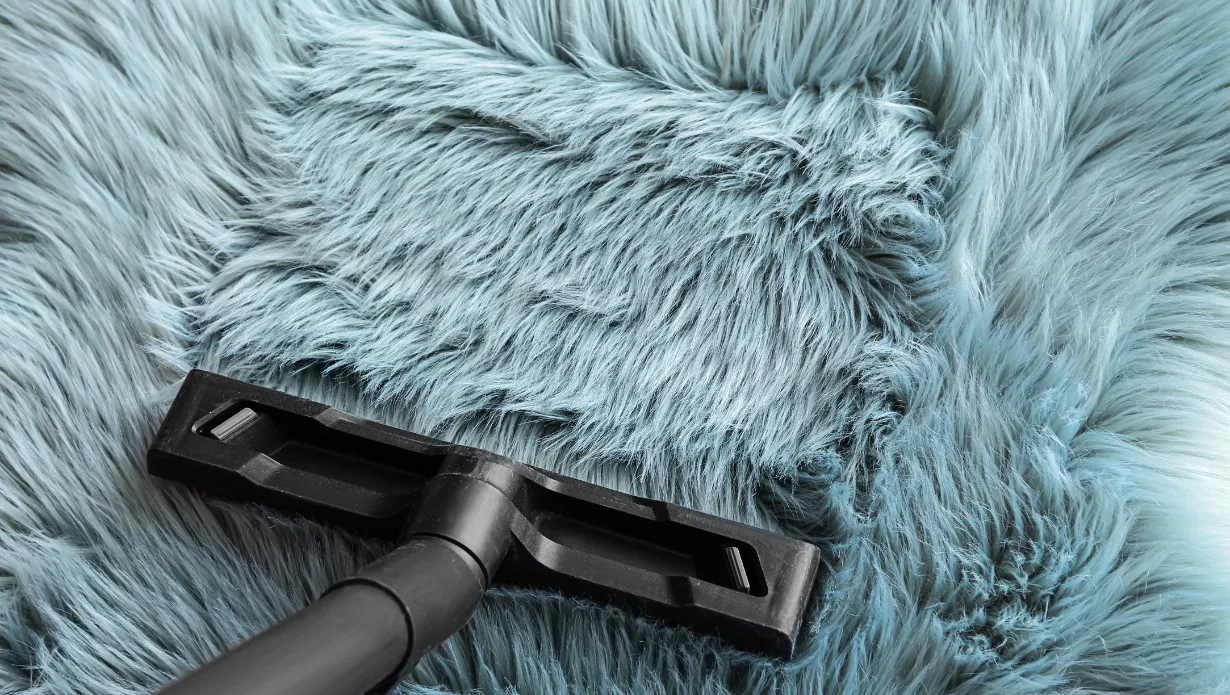 12 Best Vacuum for High Pile Carpet