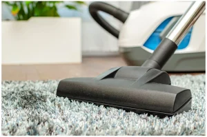 Buyer’s Guide to Vacuums for High Pile Carpets