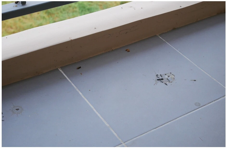 It's Easy to Clean Bird Poop off Deck