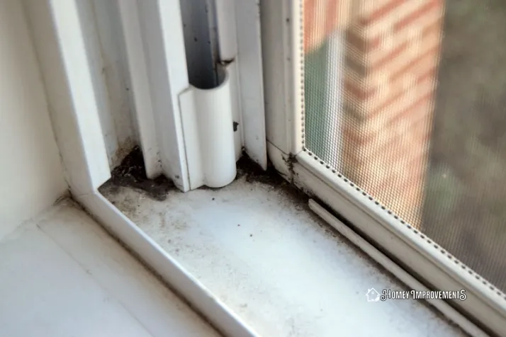 Clean Mold from Window Tracks