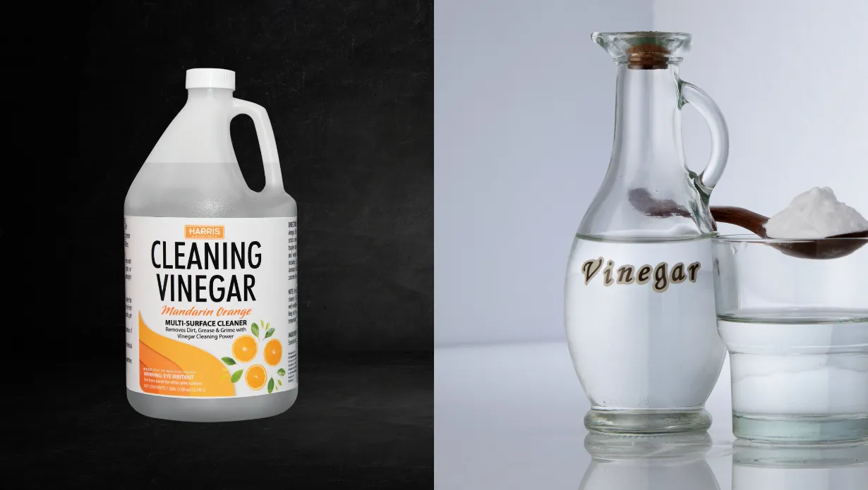 Cleaning Vinegar vs White Vinegar – Major Differences