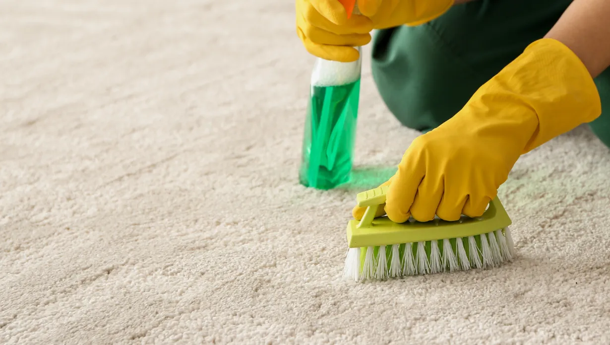 How to Deodorize Carpet (8 Practical Ways to Follow)