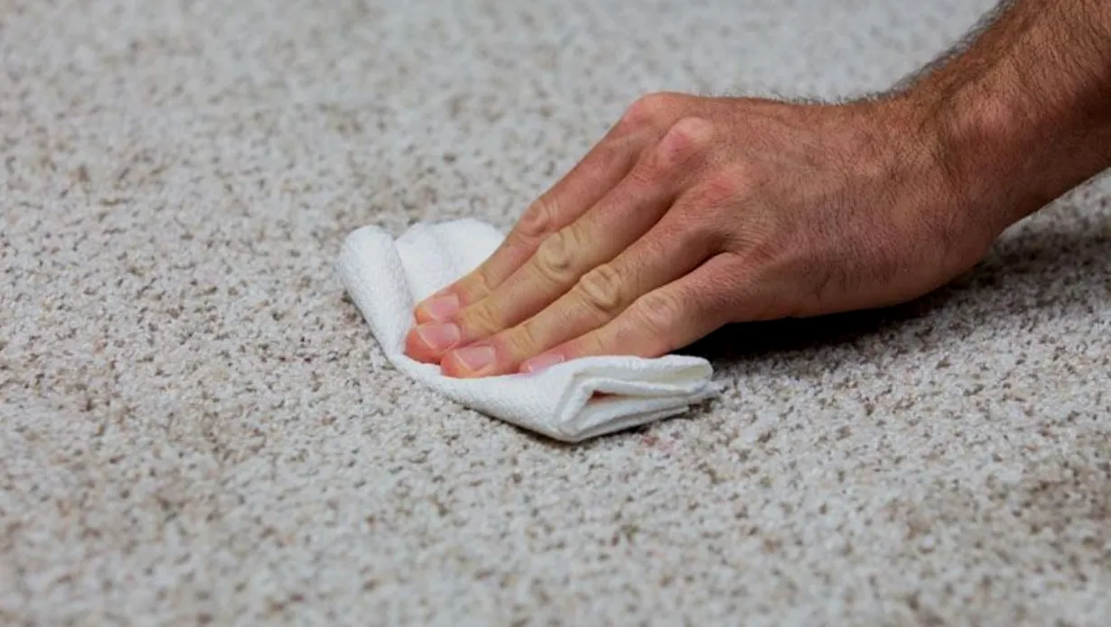 Get Wax Out of Carpet
