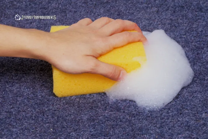 Rinse the Carpet Surface