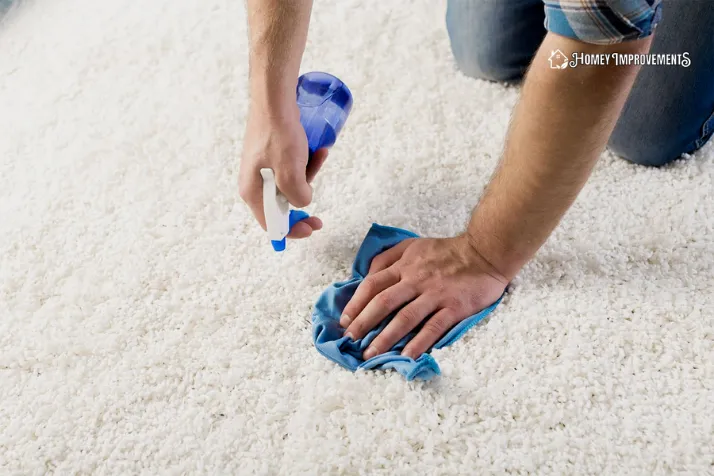 Spray the Solution on the carpet