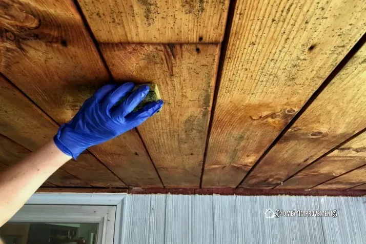 Use Bleach for Tough Mold Stains