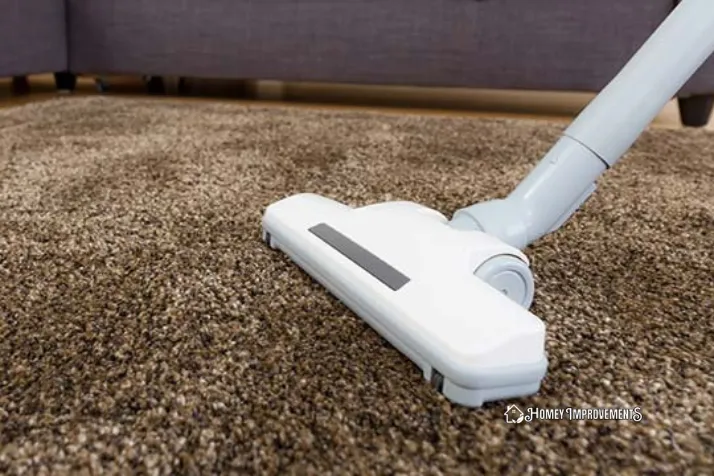 Apply a Vacuum Cleaner on polyester rug
