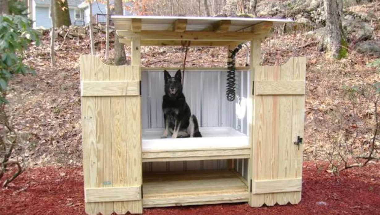 Build a DIY Dog Wash Station