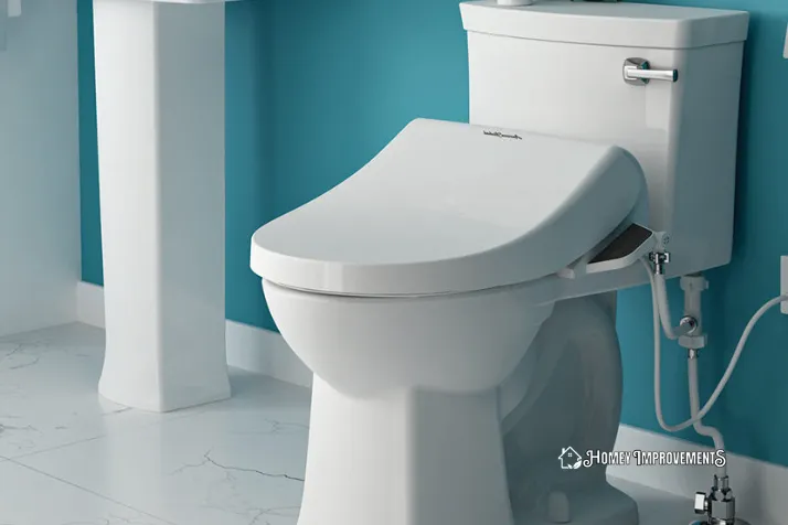 Design and colors of a toilet