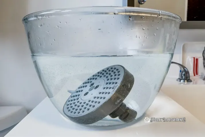 Disconnect the Shower Head and Rinse it with Fresh Water