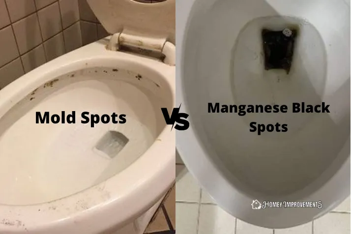 Mold vs Manganese Black Spots in a Toilet Bowl