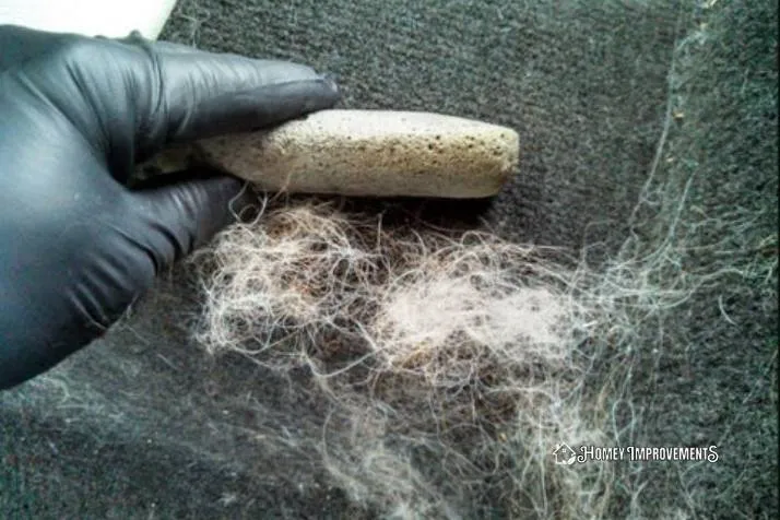 Using Pumice Stone for Dog Hair