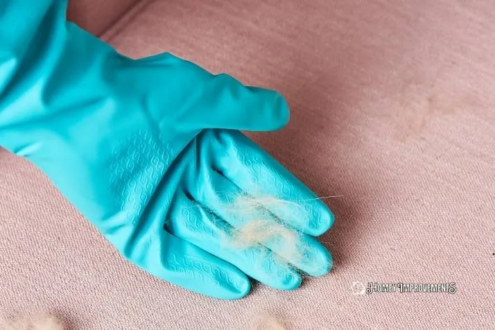 using Rubber Kitchen Glove to remove Dog Hair