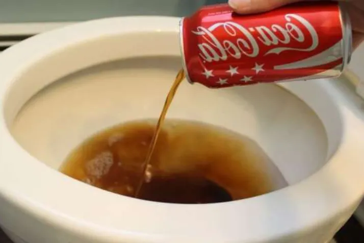 Coca-Cola Toilet Cleaner