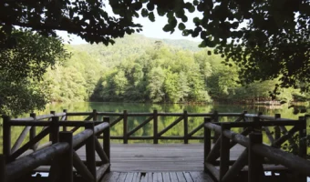 Wooden deck railings overlooking a lake