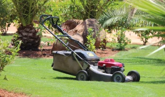 best lawn packages