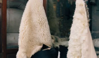 How to Clean Sheepskin Rug At Home the Safe Way?
